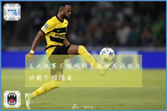 五大联赛买球网网页版使用说明与功能介绍指南