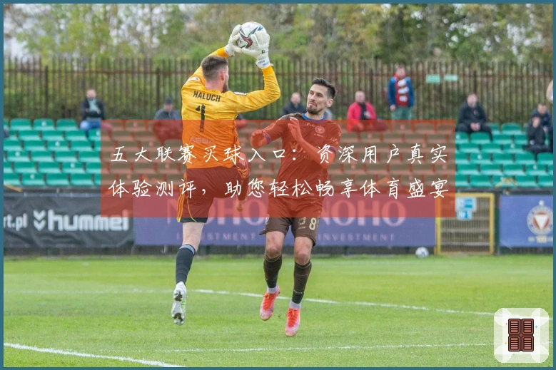 五大联赛买球入口：资深用户真实体验测评，助您轻松畅享体育盛宴