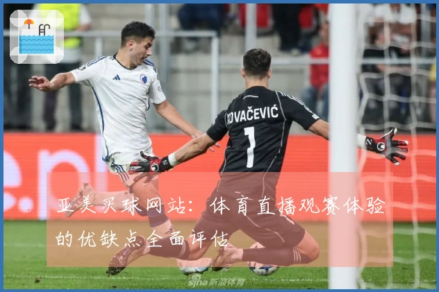 亚美买球网站：体育直播观赛体验的优缺点全面评估