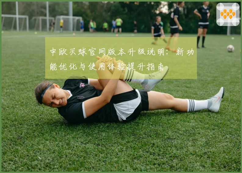 中欧买球官网版本升级说明：新功能优化与使用体验提升指南