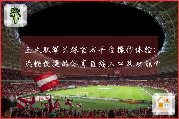 五大联赛买球官方平台操作体验：流畅便捷的体育直播入口及功能介绍