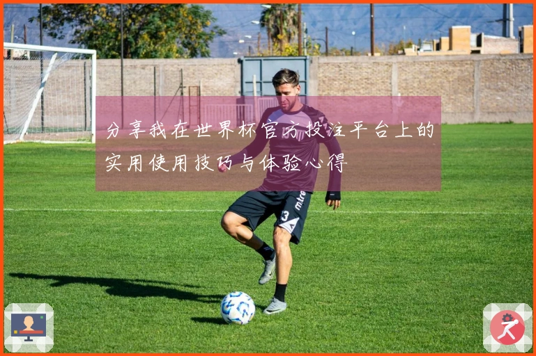 分享我在世界杯官方投注平台上的实用使用技巧与体验心得