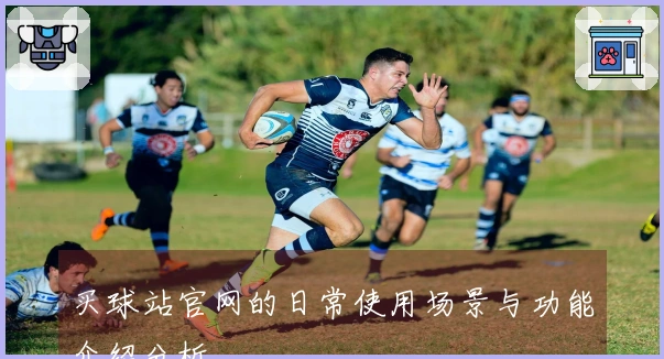 买球站官网的日常使用场景与功能介绍分析