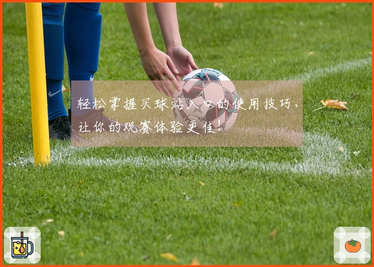 轻松掌握买球站入口的使用技巧，让你的观赛体验更佳！