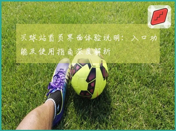 买球站首页界面体验说明：入口功能及使用指南深度解析