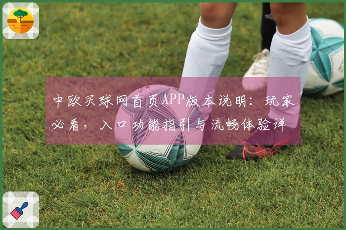 中欧买球网首页APP版本说明：玩家必看，入口功能指引与流畅体验详解